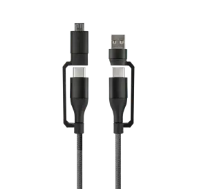 4-in-1 Multicable