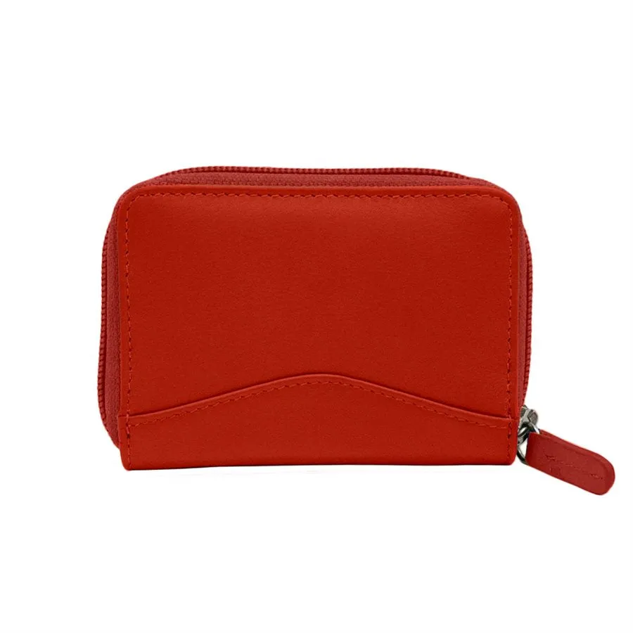 Accordion Card Holder