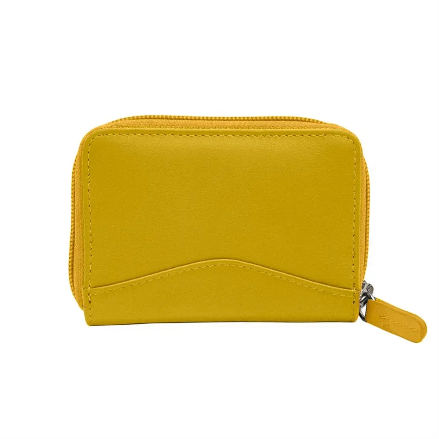 Accordion Card Holder