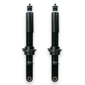 Dobinsons - IMS Front Struts (IMS59-60446) - Toyota Tundra (2022 )