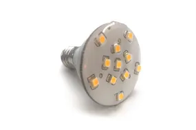 E14 (Warm White) LED Bulbs