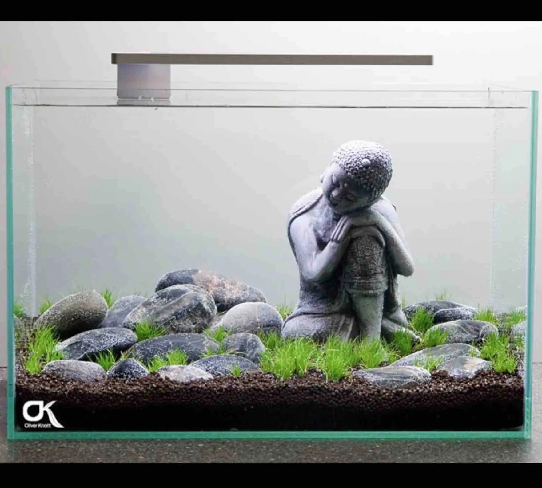 FLEXI Mini LED - Azoo