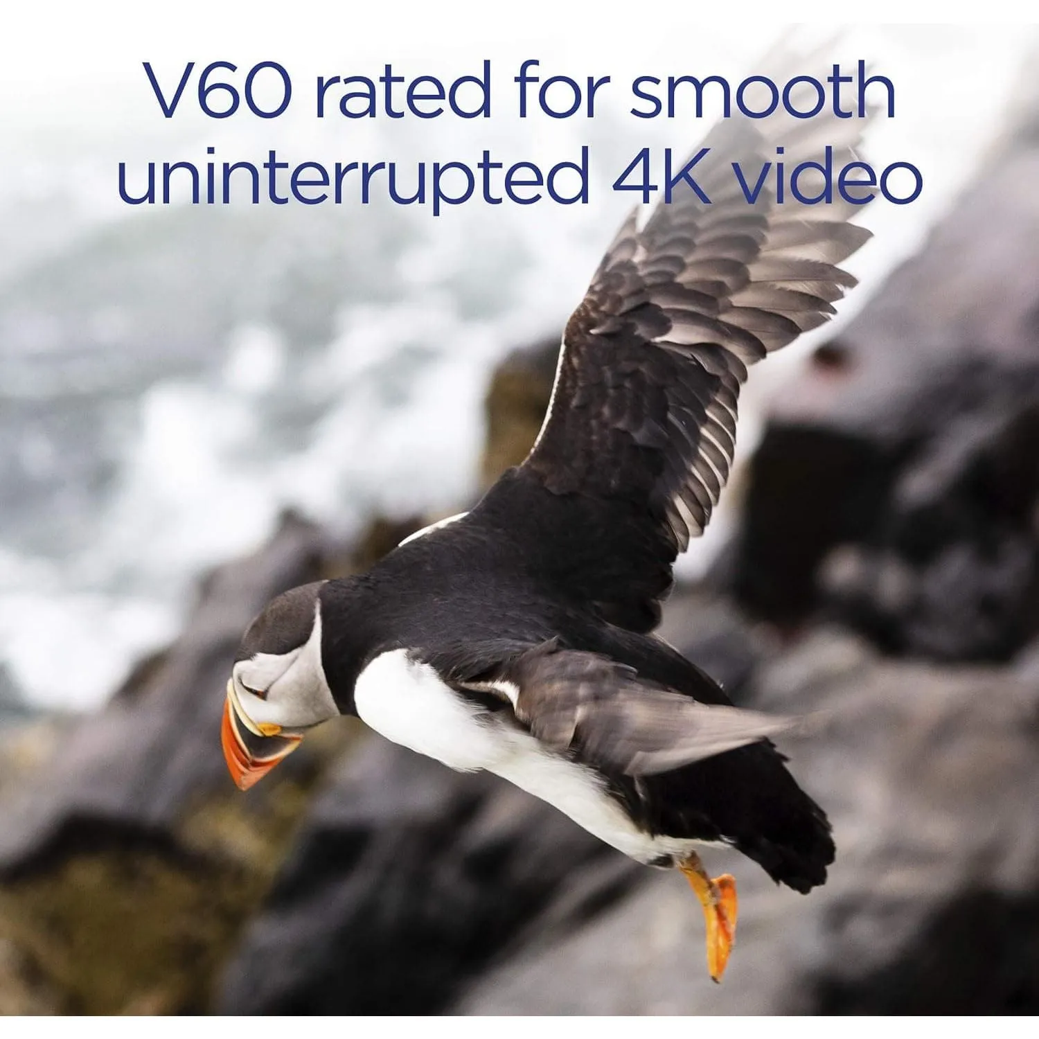 Integral 64GB UHS-II SD Card V60 Up to 260MBs Read and 100MBs Write Speed 1733X SDXC Professional High Speed Memory Card