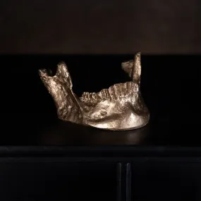 Jaw Card Holder