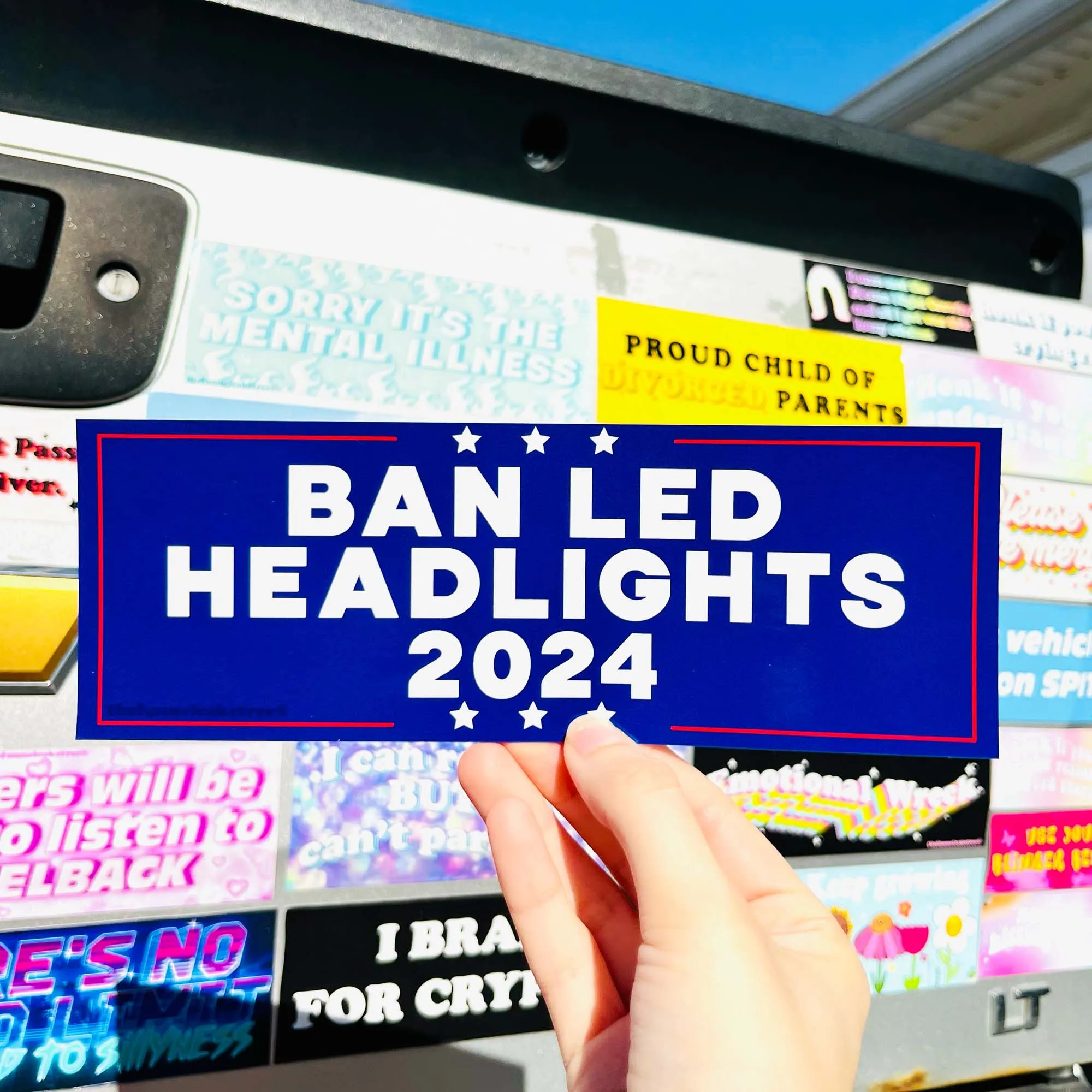 LEDs 2024 Bumper Sticker