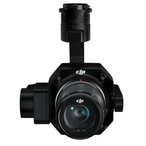 Rental Zenmuse P1