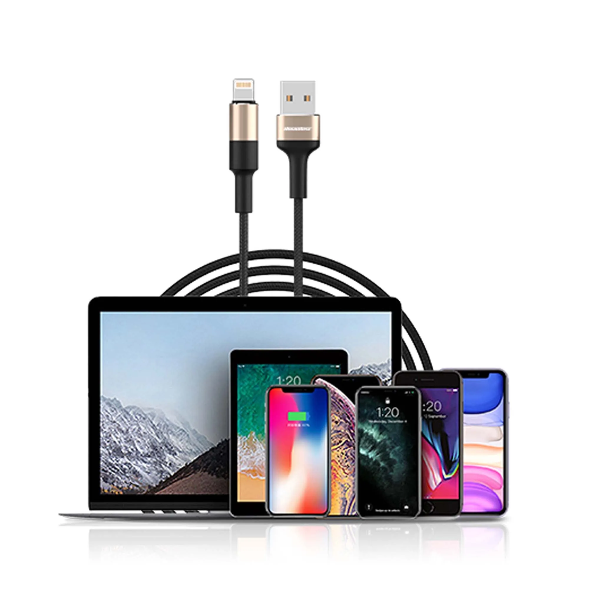 Rockrose Acacia AC 1m USB-C Cable - Black Gold (Barcode: 6973135540335 )