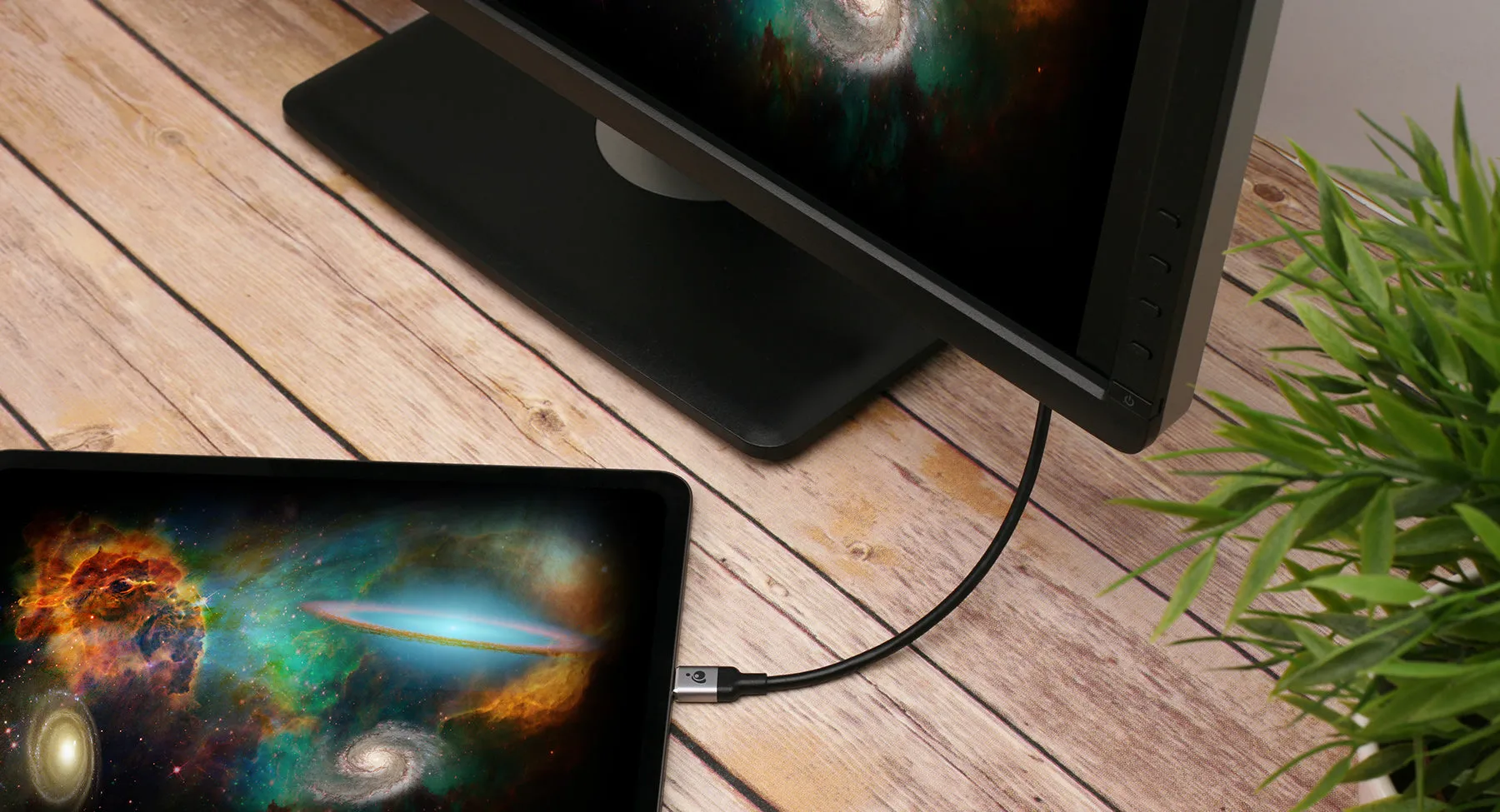 USB-C to DisplayPort 8K Cable, 6.6 ft. (2m)
